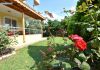 Apartımızın Bahçesi