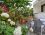 İzmir Apart Pansiyon