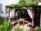 Şato Apart Motel
