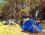 Ant camping