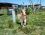Seyir Defteri Camping