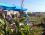 Seyir Defteri Camping