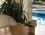 Liman Apart Otel