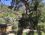 Chakra Beach Bungalows