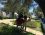 Neverland Camping Assos