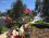 Neverland Camping Assos