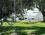 Mavi Zeytin Beach Glamping