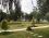 Mavi Zeytin Beach Glamping