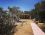 Mavi Zeytin Beach Glamping