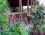 Sernis Pansiyon