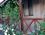 Sernis Pansiyon