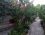 Sernis Pansiyon