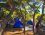 Çamlık Camping Ayvalık
