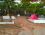 Çamlık Camping Ayvalık
