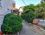 Gül Apart Motel