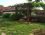 The Gallipoli Houses