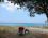 Zeytin Cafe Bungalows
