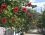 Limon Apart Otel