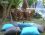 Gala Apart