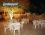 Bodrum Suites Apart Hotel