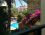 Greenpark Apartments