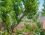 Huzur Pansiyon