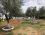 Ilgaz Motel Camping