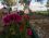 Ilgaz Motel Camping