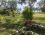 Ilgaz Motel Camping