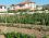 Asmalı Apart
