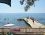 İda Garden Camping