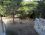 Troltunga Camping