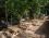 Troltunga Camping
