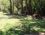 Troltunga Camping