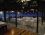 Cunda Club Sedef