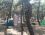 Murat Reis Çamlık Camping