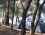 Murat Reis Çamlık Camping
