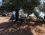 Şamata Beach Camping