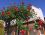 Dikili Tatil Evi