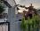 Arya Roof House