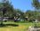 Deniz Camping