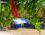 Ali Baba Relax Camp