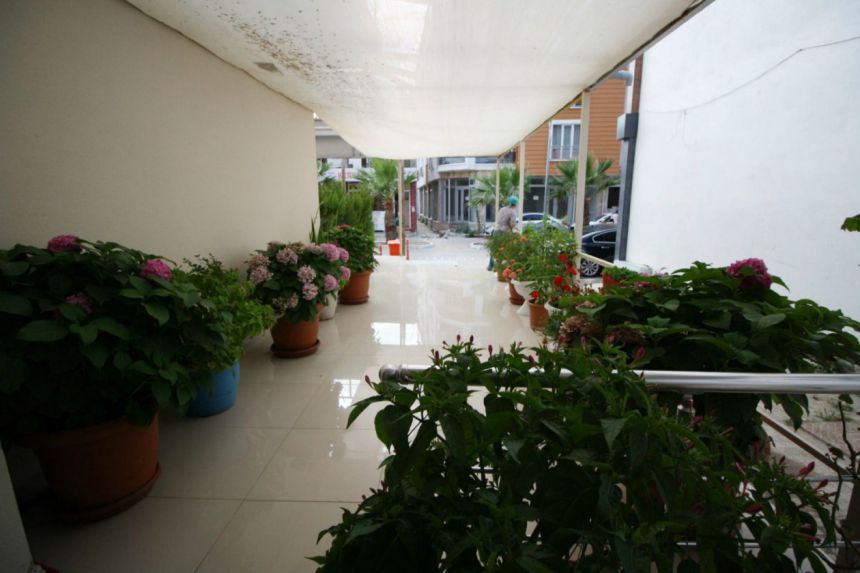 Velis Suit Otel