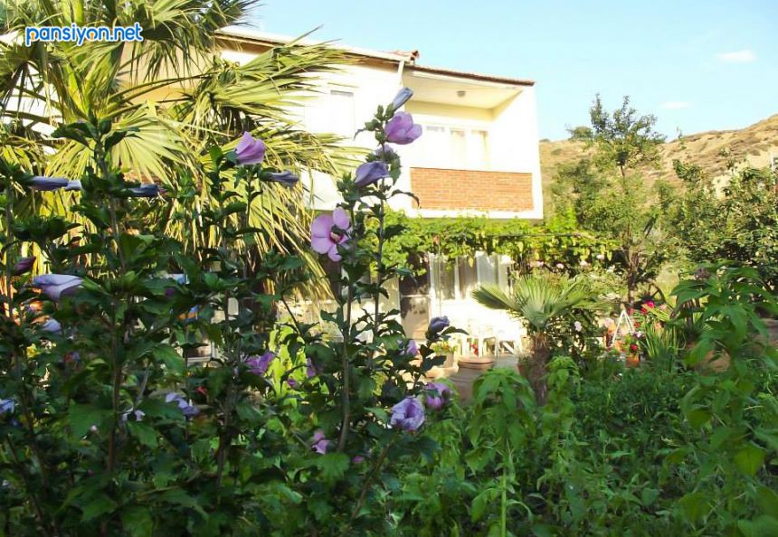 Dolphin Apart Hotel