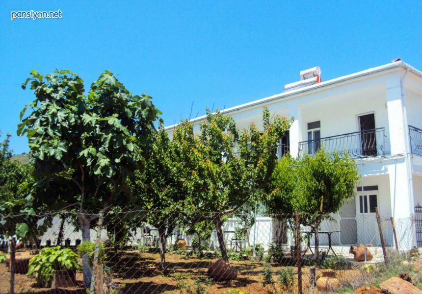 Mavi Yeşil Apart