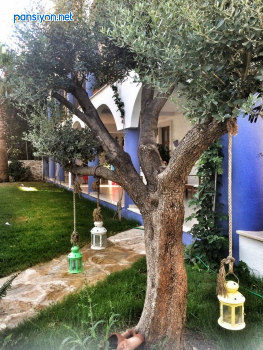 Taş Apart Datça