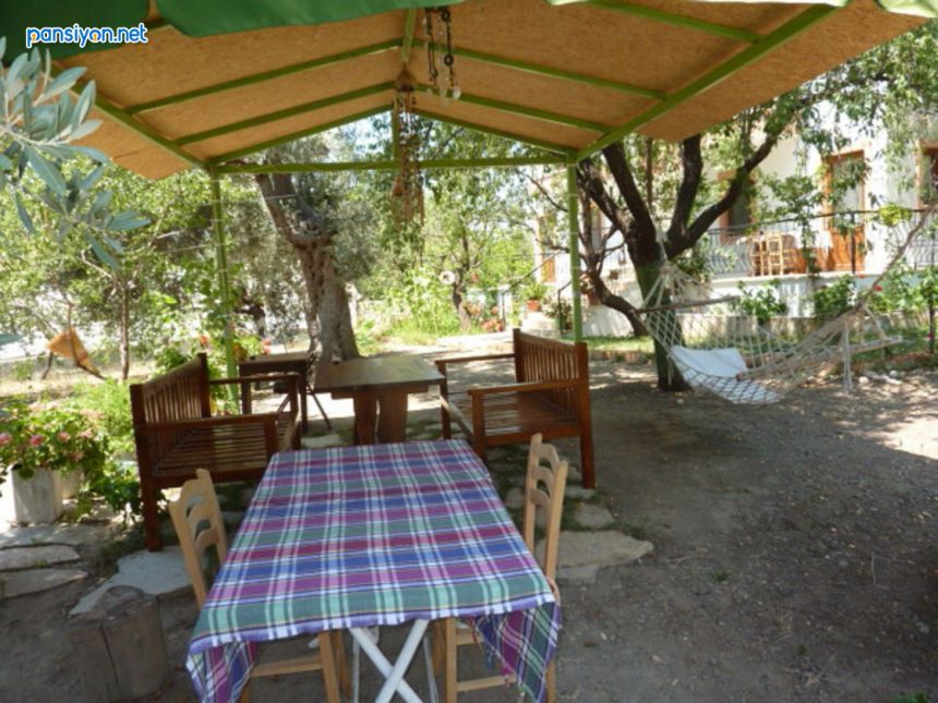 Zeytin Özü Apart