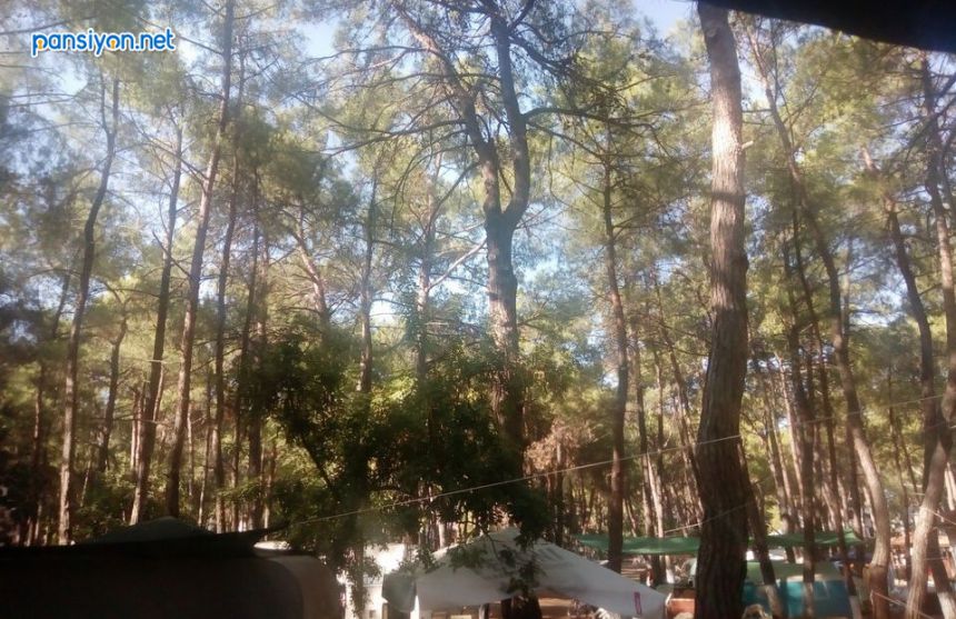 Aktur çadır ve Karavan Kampı