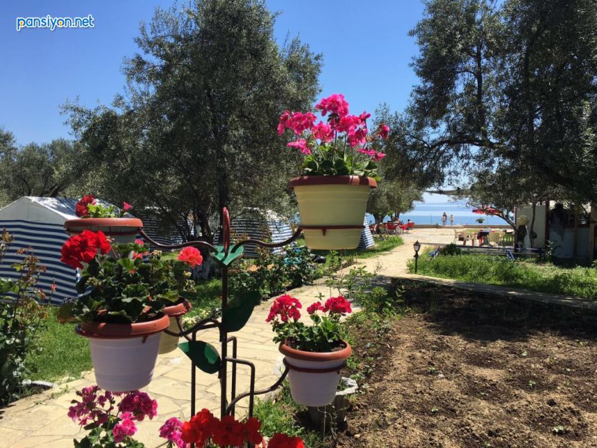 Neverland Camping Assos