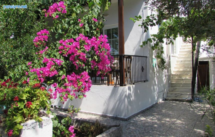 Martı Pansiyon